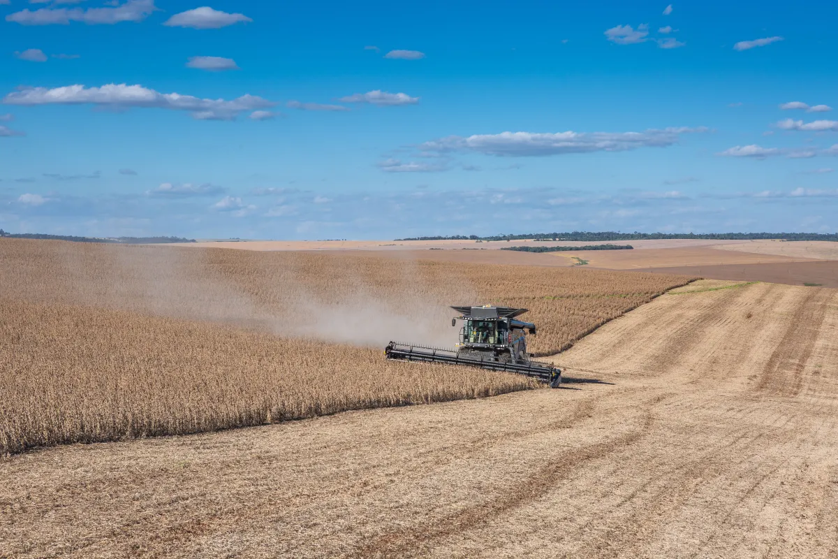 Agro soma R$ 98 bilhões em dívidas para recuperação extrajudicial em 2026.